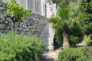 Vonkajšia záhrada v ubytovaní Maison chaleureuse au cœur des Calanques de Marseille + jardin.