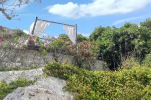 Vonkajšia záhrada v ubytovaní Maison chaleureuse au cœur des Calanques de Marseille + jardin.