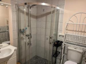 a bathroom with a shower and a toilet and a sink at Grand gîte du Bruleux 11 personnes in La Bresse +58 photos