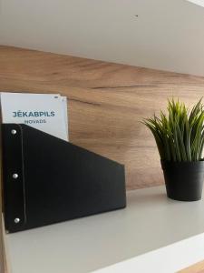 Fotografie z fotogalerie ubytování Apartamenti Jēkabpilī v destinaci Jekabpils