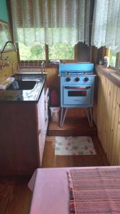 Dapur atau dapur kecil di Pauapique Chalé