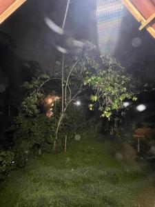 Giardino di Glamping Manzara