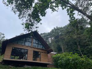 una piccola casa in mezzo a una foresta di Glamping Manzara a Manizales