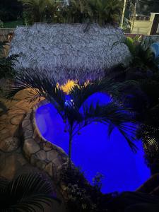 Un jardín fuera de Cahuita Vibe
