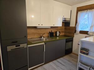 Köök või kööginurk majutusasutuses Hotel Platten Apartment