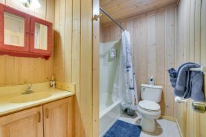 a bathroom with a toilet and a sink and a shower at Less Than 1 Mi to Nubs Nob Ski Cabin with Sauna and Deck! in Harbor Springs +25 photos