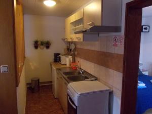 Kuchyň nebo kuchyňský kout v ubytování Apartments Pavlić