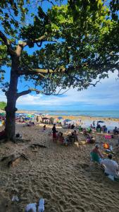 a group of people sitting on the beach under a tree at Studio Costa a Mar in Guarapari