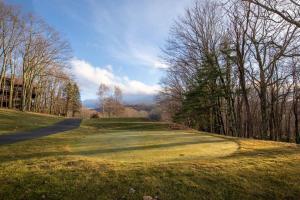 a view of a golf course with trees at The Tee House in Beech Mountain