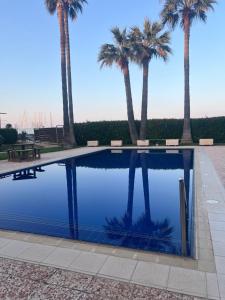 a swimming pool with palm trees in the background at Nikos Latchi Harbour in Lachi