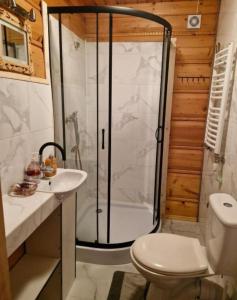 a bathroom with a shower and a toilet and a sink at U Bobaków in Murzasichle