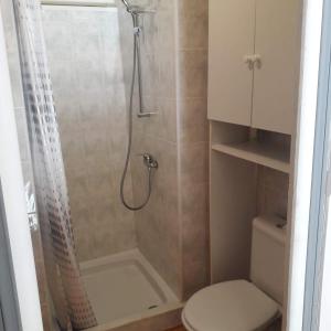 a bathroom with a shower with a toilet and a sink at Gite de l'Entressac in Pradelles