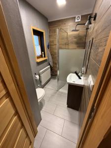 a bathroom with a toilet and a sink and a shower at Domki na Stoku in Czarna Góra +22 photos