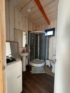 Un baño con ducha, lavabo e inodoro. en Pullay Miramar cabaña, en Pullay