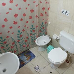 a bathroom with a toilet and a sink at Cabaña El Chaparral Villa Dolores, Traslasierra 4 in Villa Dolores