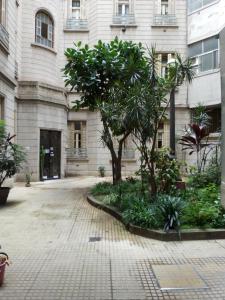 布宜诺斯艾利斯Calida habitacion edificio historico的一座树木繁茂的建筑前的庭院
