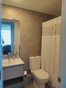 a bathroom with a toilet and a sink and a shower at Departamento San Pedro de la Paz in San Pedro de la Paz