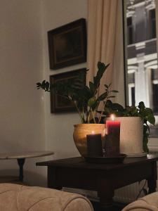 a candle and a potted plant on a table at Gent Gently apartment in center in Ghent +9 photos