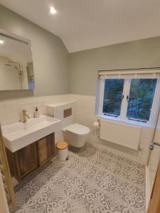 ein Badezimmer mit Waschbecken und Toilette und einem Fenster in der Unterkunft Trillis Cottage in Sapperton