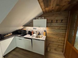 Kuchyňa alebo kuchynka v ubytovaní UNTERBERG Apartment