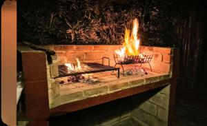 a fire pit with two fires in it at Cabaña Las Casuarinas del Delta de Tigre in Dique Luján