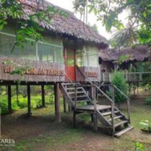 Gallery image of Antares Jungle Lodge in Miraflores
