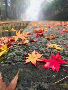 Fotografija u galeriji objekta He Feng Homestay u gradu Hualing