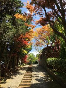Vrt ispred objekta He Feng Homestay