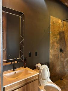 グアタペにあるGRETEL CHALETS SUIZOの洗面台、トイレ、鏡のあるバスルーム