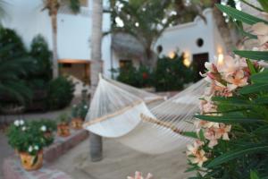 Zahrada ubytování Casa Costa Azul