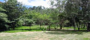 Gallery image of Large Estate in Valle de Angeles, Tegucigalpa in Valle de Ángeles