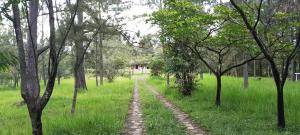 Gallery image of Large Estate in Valle de Angeles, Tegucigalpa in Valle de Ángeles +25 photos