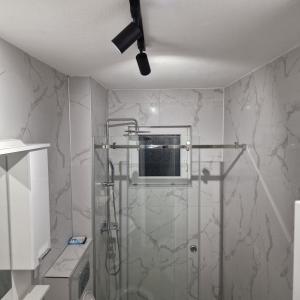 un bagno con doccia con porta in vetro di Apartman Lakić a Bijeljina