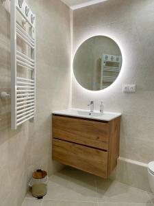 un baño con lavabo y espejo en Confortable studio 15 min Paris, en Saint-Maurice