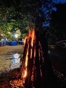 Gallery image of The River House Ingiriya in Ingiriya +19 photos