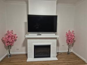 un soggiorno con TV sopra un camino di Nice and comfy home in Geelong a Newtown and Chilwell