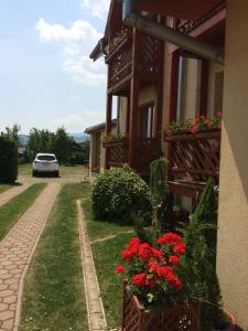 una casa con fiori rossi su un lato di Villa Elena a Smižany