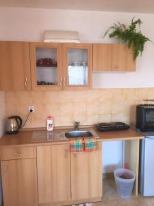 A kitchen or kitchenette at Villa Elena