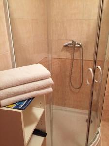 La salle de bains est pourvue d'une douche avec une porte en verre. dans l'établissement Villa Elena, à Smižany
