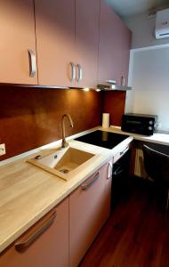 a kitchen with a sink and a counter top at Central One Guesthouse in Reşiţa +11 photos