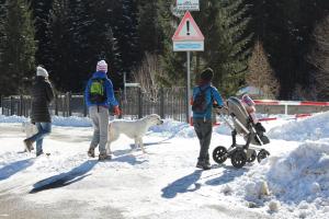 Lyžovanie pri apartmáne alebo v okolí
