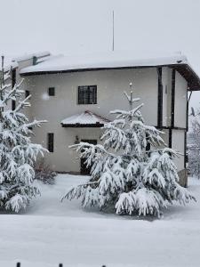 Pinerose Resort om vinteren