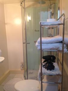a bathroom with a shower and a toilet and towels at PROPIEDADES AL GO ex Propiedades Marsella in Santiago