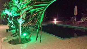 Una palmera junto a una piscina por la noche. en Guille Bungalows, en Canoas de Punta Sal 37 fotos más