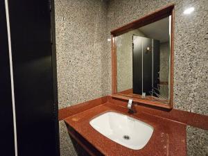 Paramount Palace Hotel Dannok的一间浴室
