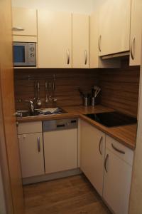 Kuchyň nebo kuchyňský kout v ubytování alpinea Appartements