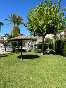 a park with a tree and a straw umbrella at CASA DE LIVIA Vera Playa-bajo in Playas de Vera