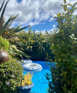 a garden with blue water and some plants at Midcentury Magic in Marlborough in Blenheim