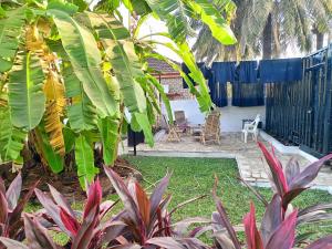 Casa Cacheu Homestay Guest House外面的花园