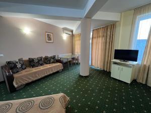 a living room with a couch and a flat screen tv at Vila Crinul in Baile Felix